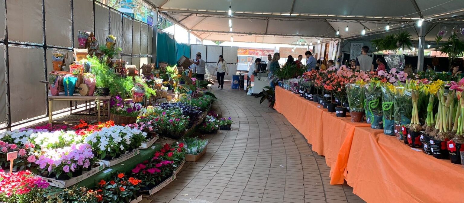 Feira de Flores de Maringá 2024: Beleza e Solidariedade