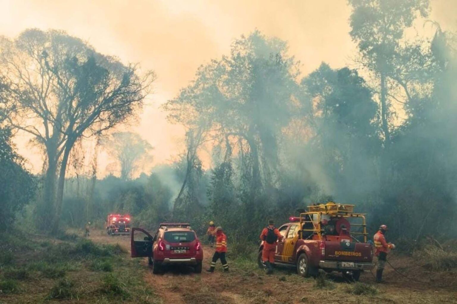 Paraná enfrenta aumento de 132% nos incêndios florestais