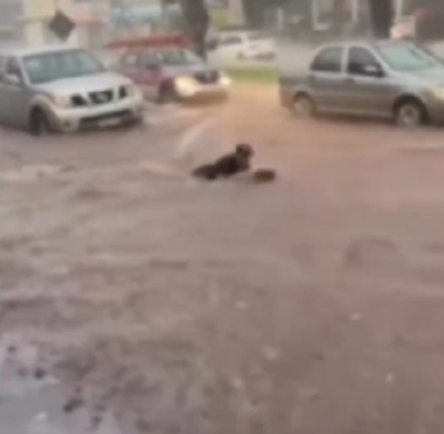 Morador de Maringá surfa durante temporal